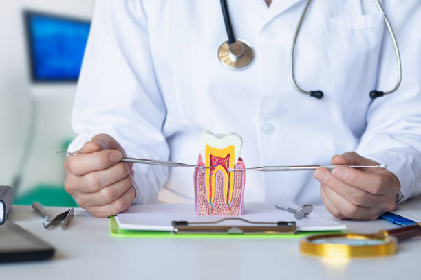 Best Walk-In Emergency Dentist in Pennington, NJ